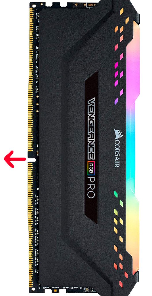 ram