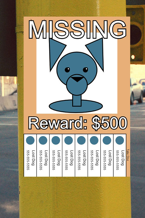 Dog06